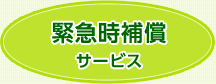緊急時保証サービス