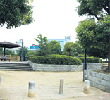 赤田池公園
