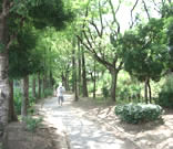 端ケ池公園