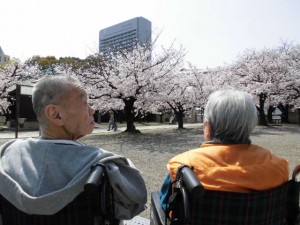 大森夫妻後ろ姿 (640x480)